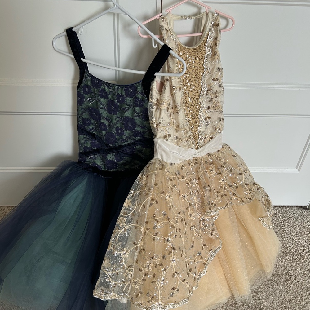 Bundle of 4 high quality ballet costumes